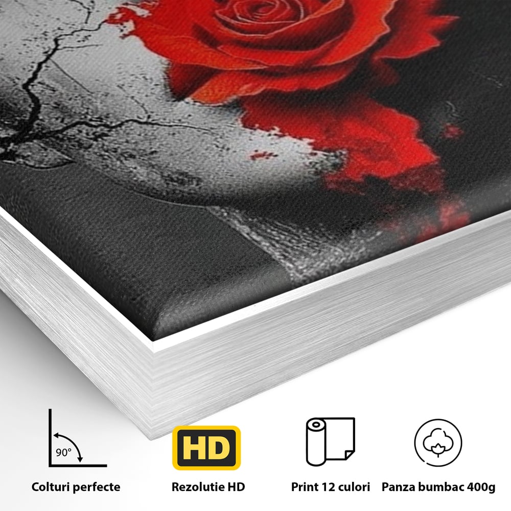 Detaliu al suprafetei: tablou canvas cu chip de femeie, in rama de aluminiu argintiu